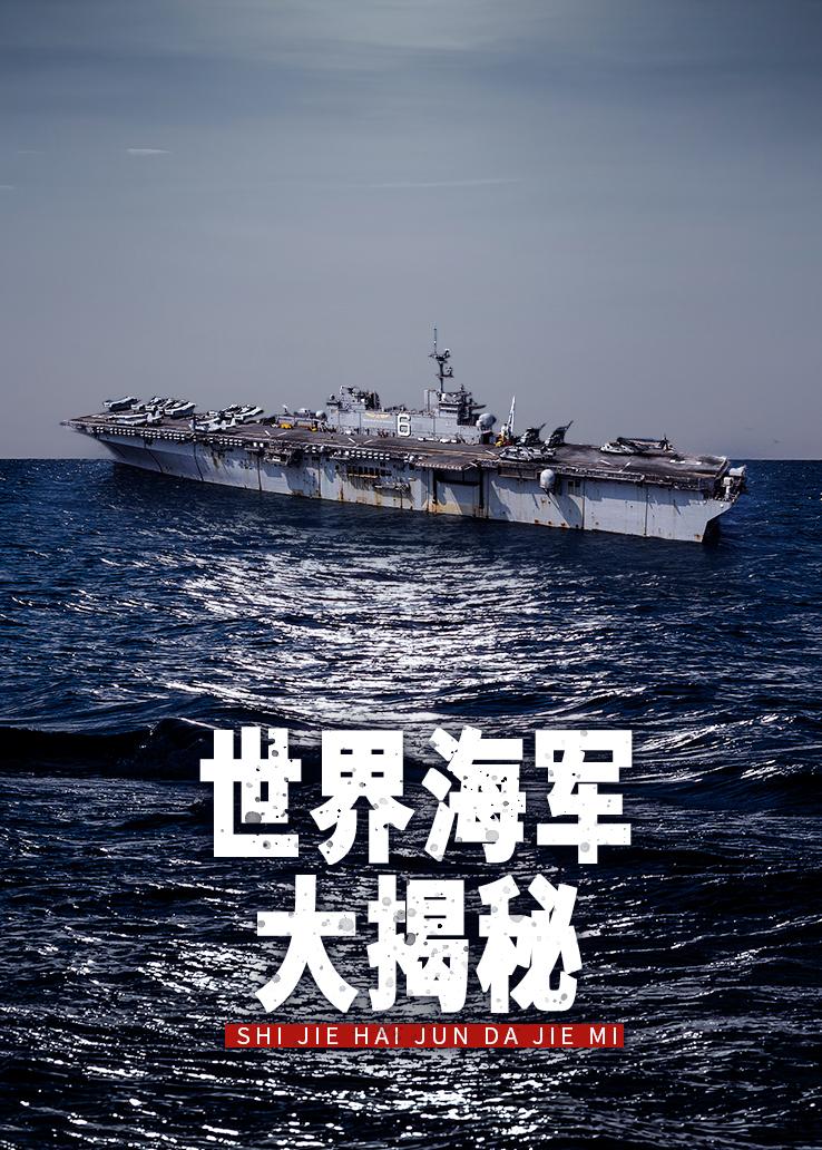 世界海军大揭秘