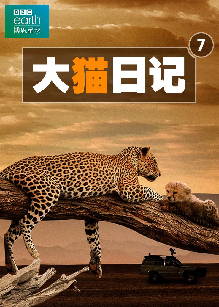 大猫日记第七季